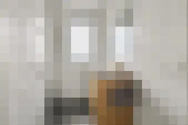 Deltastraat 1 b Nieuwerkerk thumbnail 34