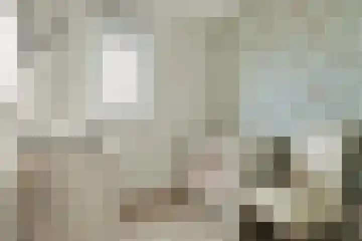 Deltastraat 1 b Nieuwerkerk thumbnail 41