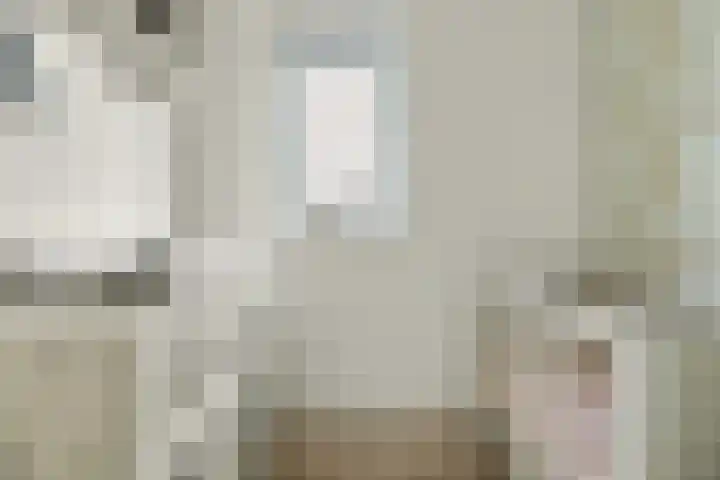 Deltastraat 1 b Nieuwerkerk thumbnail 42