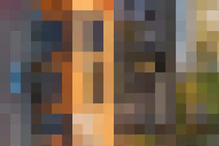 Deltastraat 1 b Nieuwerkerk thumbnail 62