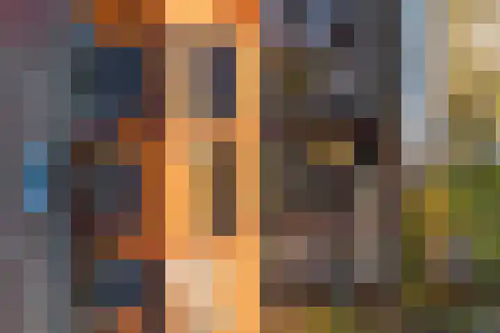 Deltastraat 1 b Nieuwerkerk thumbnail 63