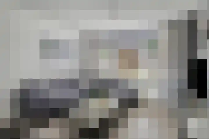 Deltastraat 10 Krabbendijke thumbnail 12