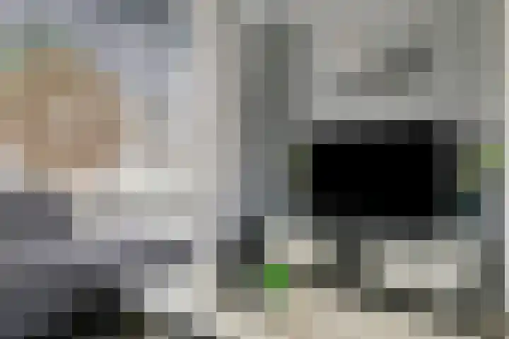 Deltastraat 10 Krabbendijke thumbnail 13
