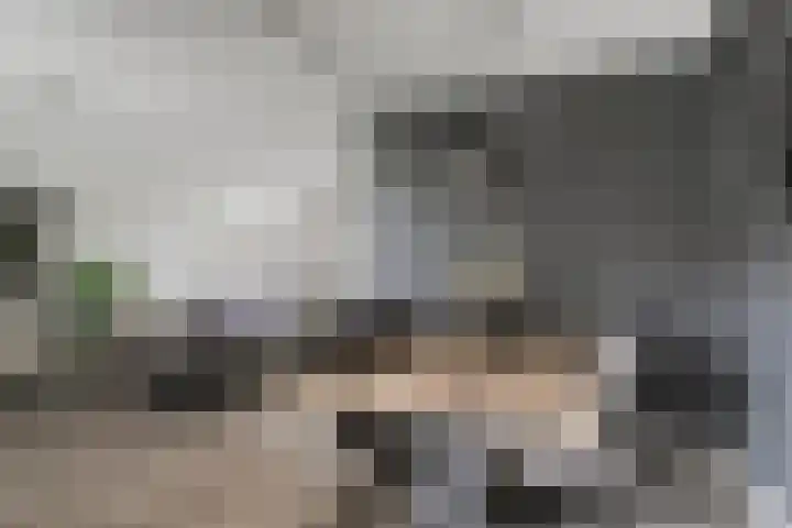 Deltastraat 10 Krabbendijke thumbnail 15