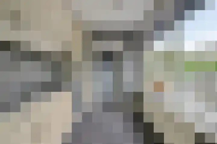 Deltastraat 10 Krabbendijke thumbnail 18