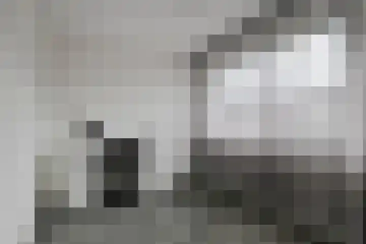 Deltastraat 10 Krabbendijke thumbnail 25