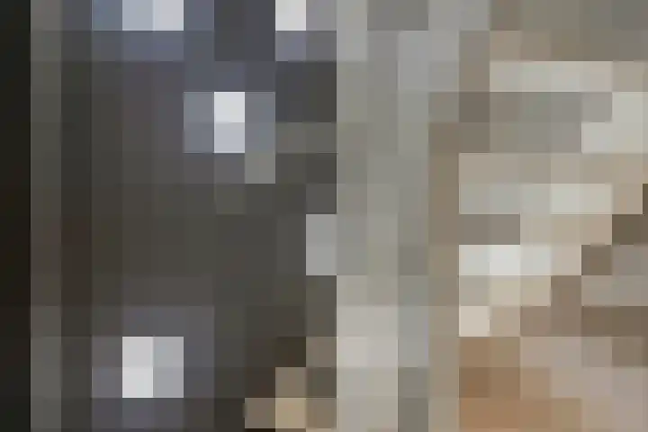 Deltastraat 10 Krabbendijke thumbnail 32