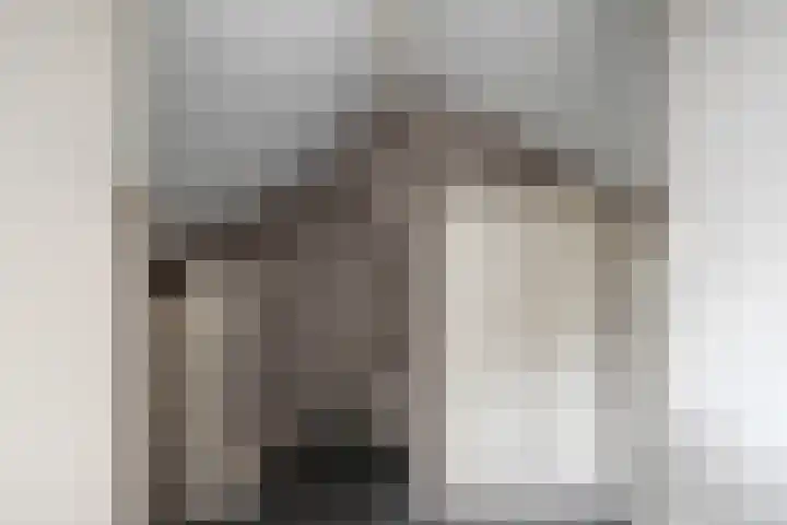 Deltastraat 10 Krabbendijke thumbnail 33