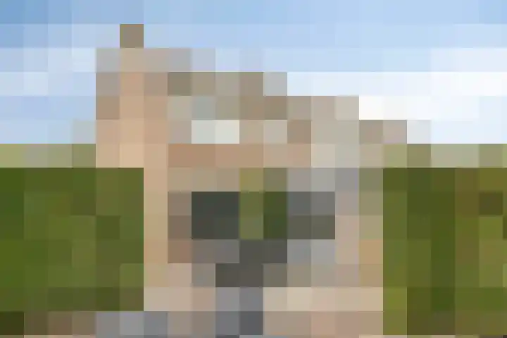 Deltastraat 10 Krabbendijke thumbnail 36