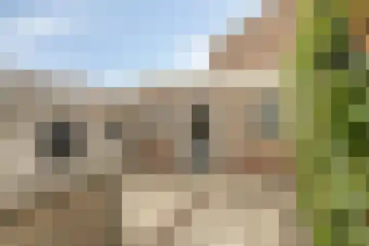 Deltastraat 10 Krabbendijke thumbnail 38