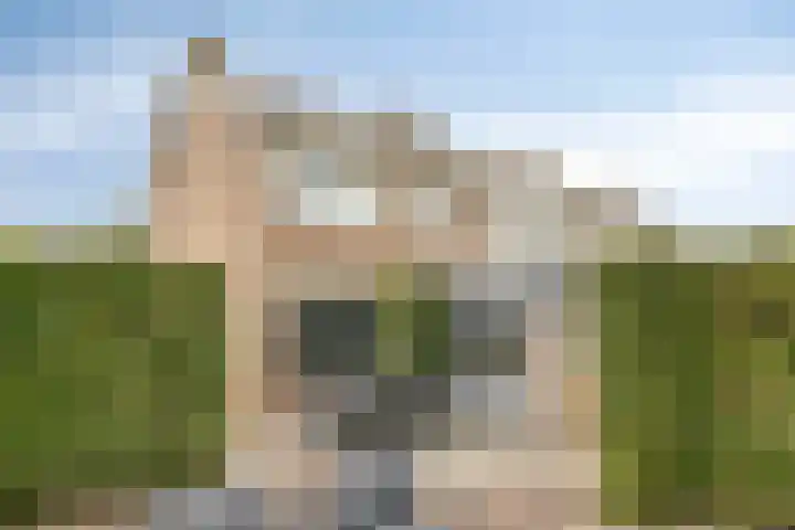 Deltastraat 10 Krabbendijke thumbnail 4