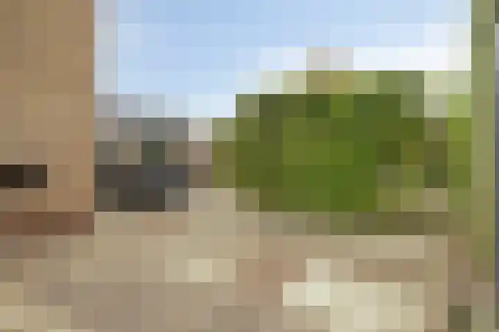 Deltastraat 10 Krabbendijke thumbnail 40