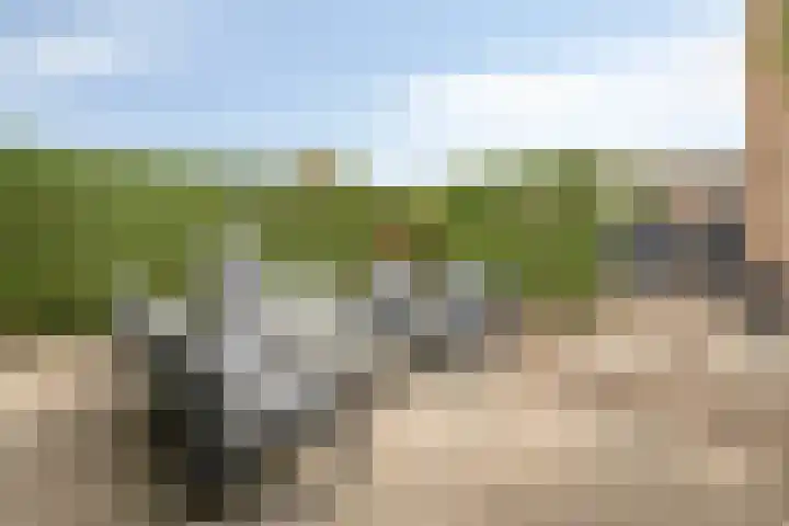 Deltastraat 10 Krabbendijke thumbnail 41