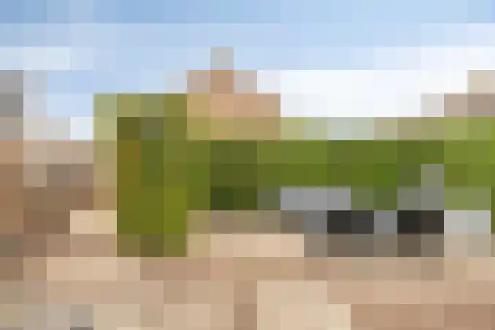Deltastraat 10 Krabbendijke thumbnail 42