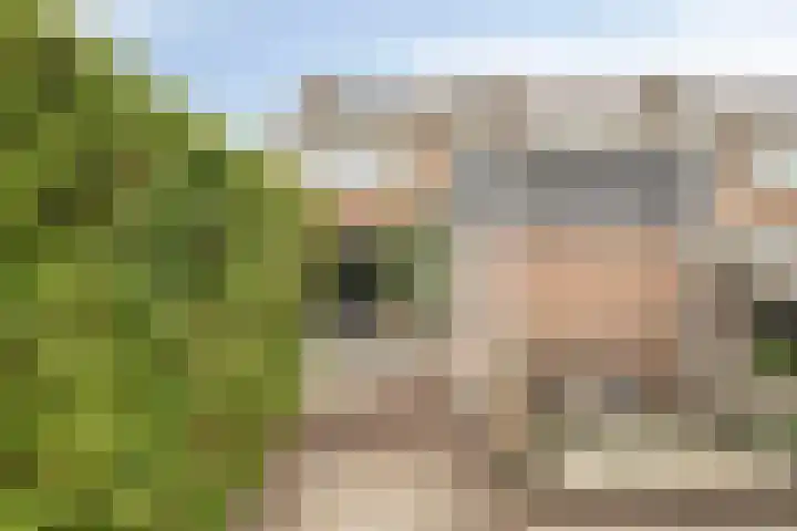 Deltastraat 10 Krabbendijke thumbnail 43
