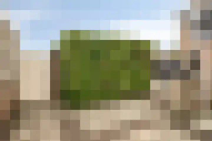 Deltastraat 10 Krabbendijke thumbnail 45