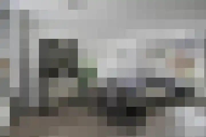 Deltastraat 10 Krabbendijke thumbnail 6
