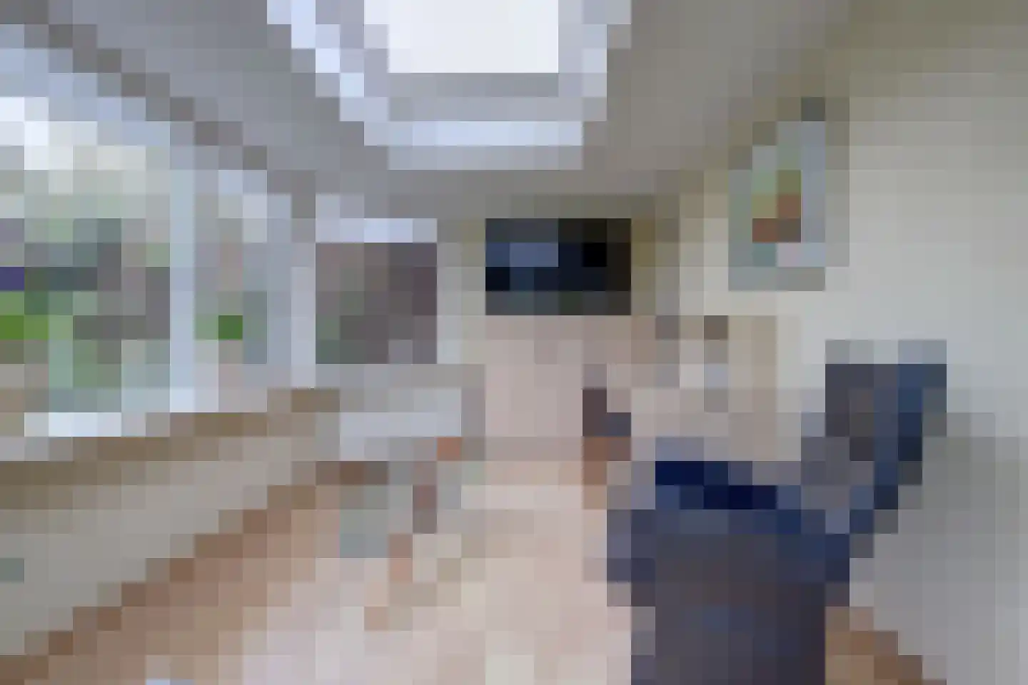 Deltastraat 10 Wemeldinge thumbnail 16