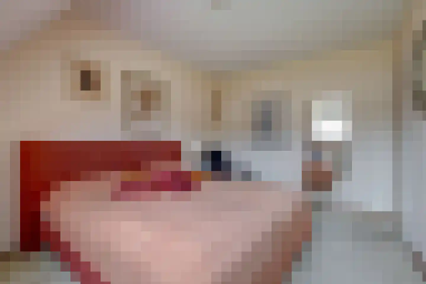 Deltastraat 10 Wemeldinge thumbnail 19