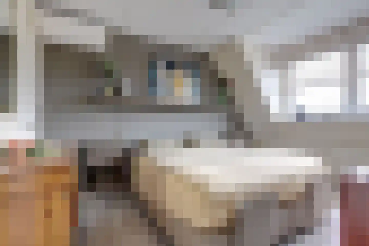 Deltastraat 10 Wemeldinge thumbnail 20