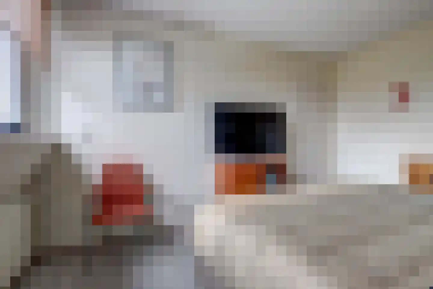 Deltastraat 10 Wemeldinge thumbnail 21