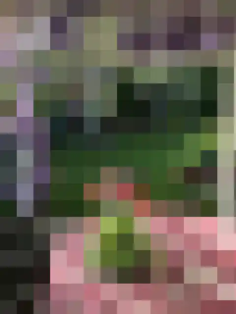 Deltastraat 10 Wemeldinge thumbnail 29