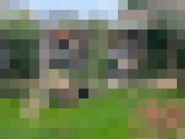 Deltastraat 10 Wemeldinge thumbnail 30
