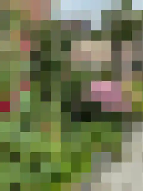 Deltastraat 10 Wemeldinge thumbnail 31