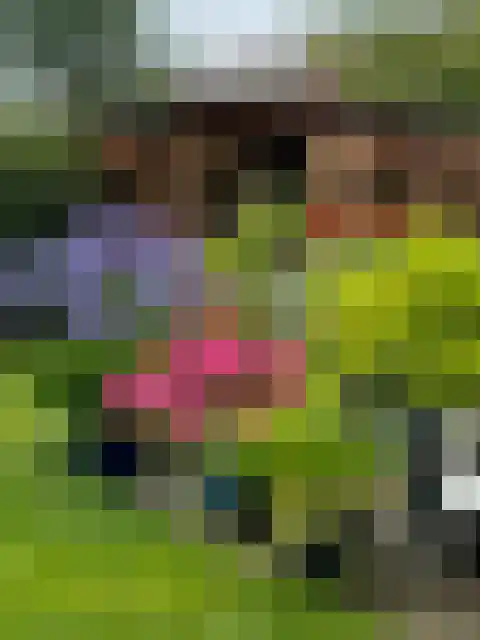 Deltastraat 10 Wemeldinge thumbnail 32