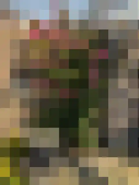 Deltastraat 10 Wemeldinge thumbnail 36