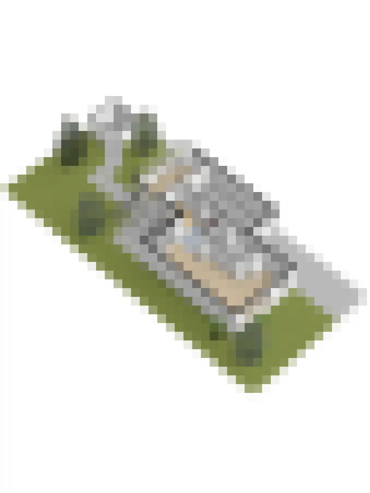 Deltastraat 10 Wemeldinge thumbnail 61