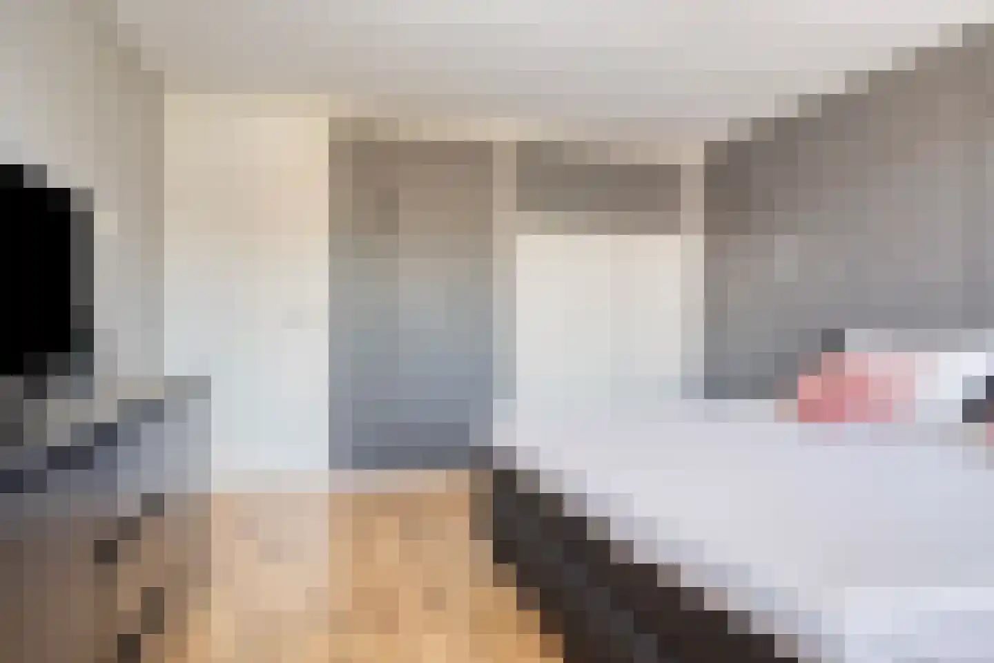 Deltastraat 104 Emmeloord thumbnail 19