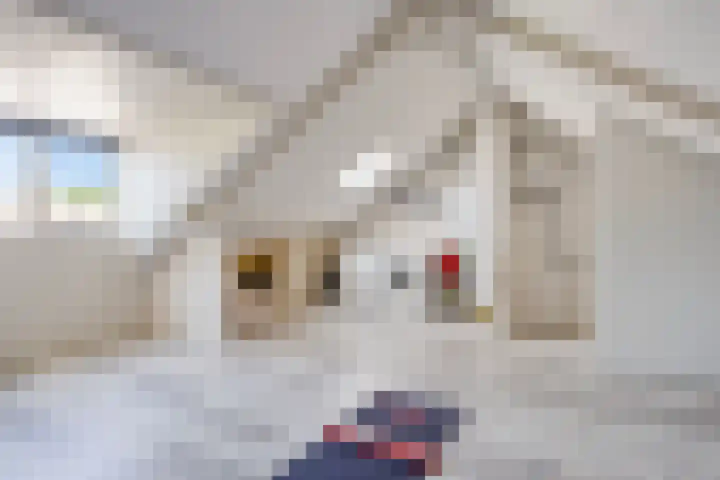 Deltastraat 104 Emmeloord thumbnail 28