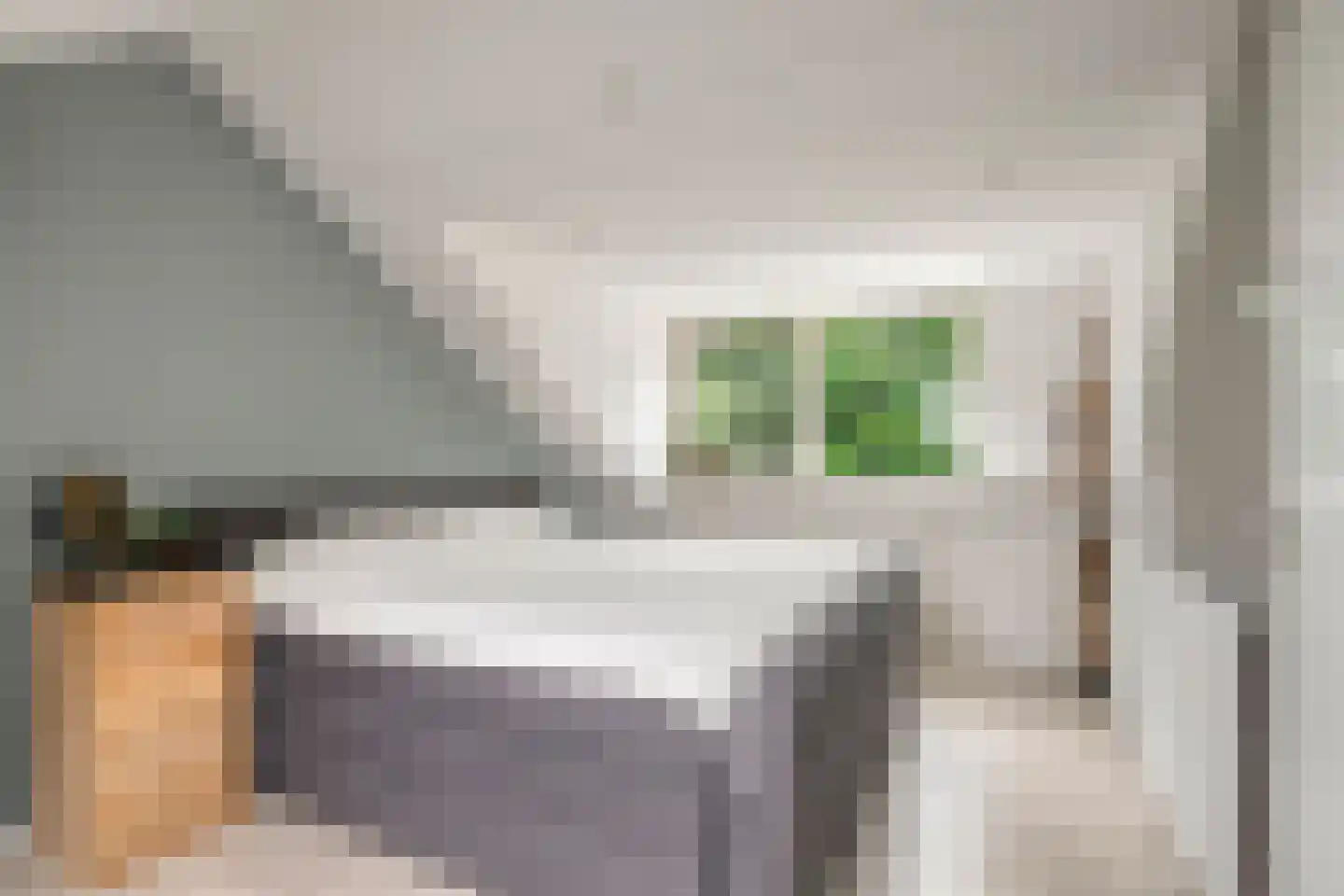 Deltastraat 106 Emmeloord thumbnail 39