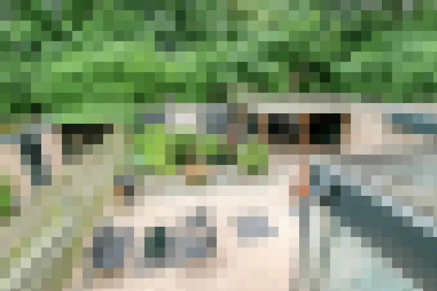 Deltastraat 106 Emmeloord thumbnail 42