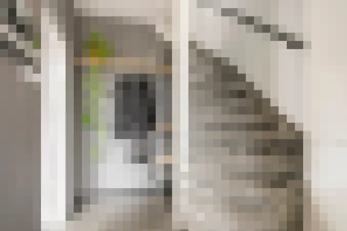 Deltastraat 106 Emmeloord thumbnail 7