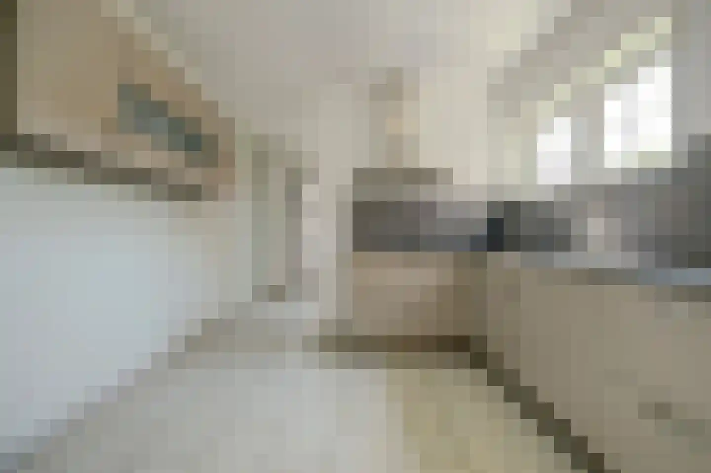 Deltastraat 11 Kattendijke thumbnail 11