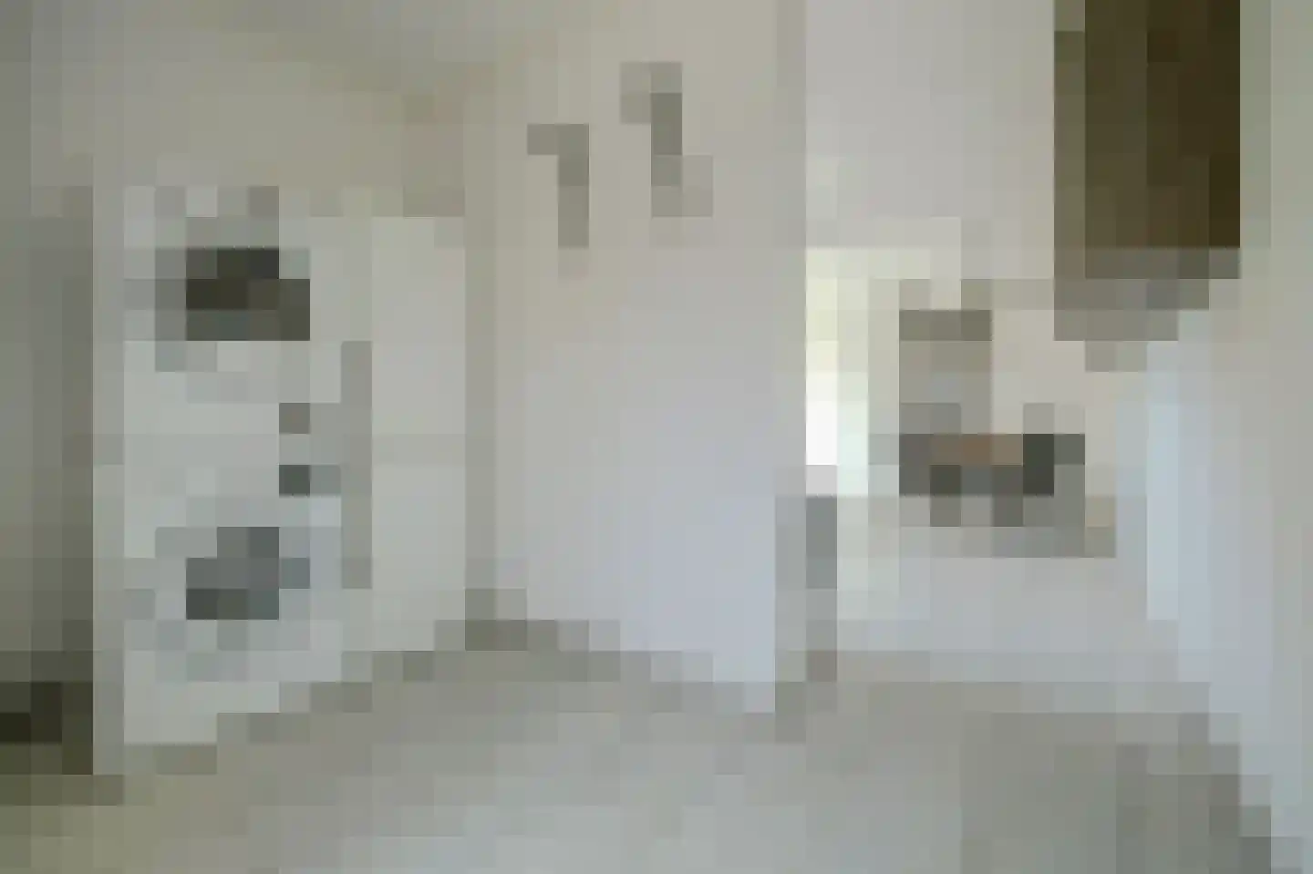 Deltastraat 11 Kattendijke thumbnail 12