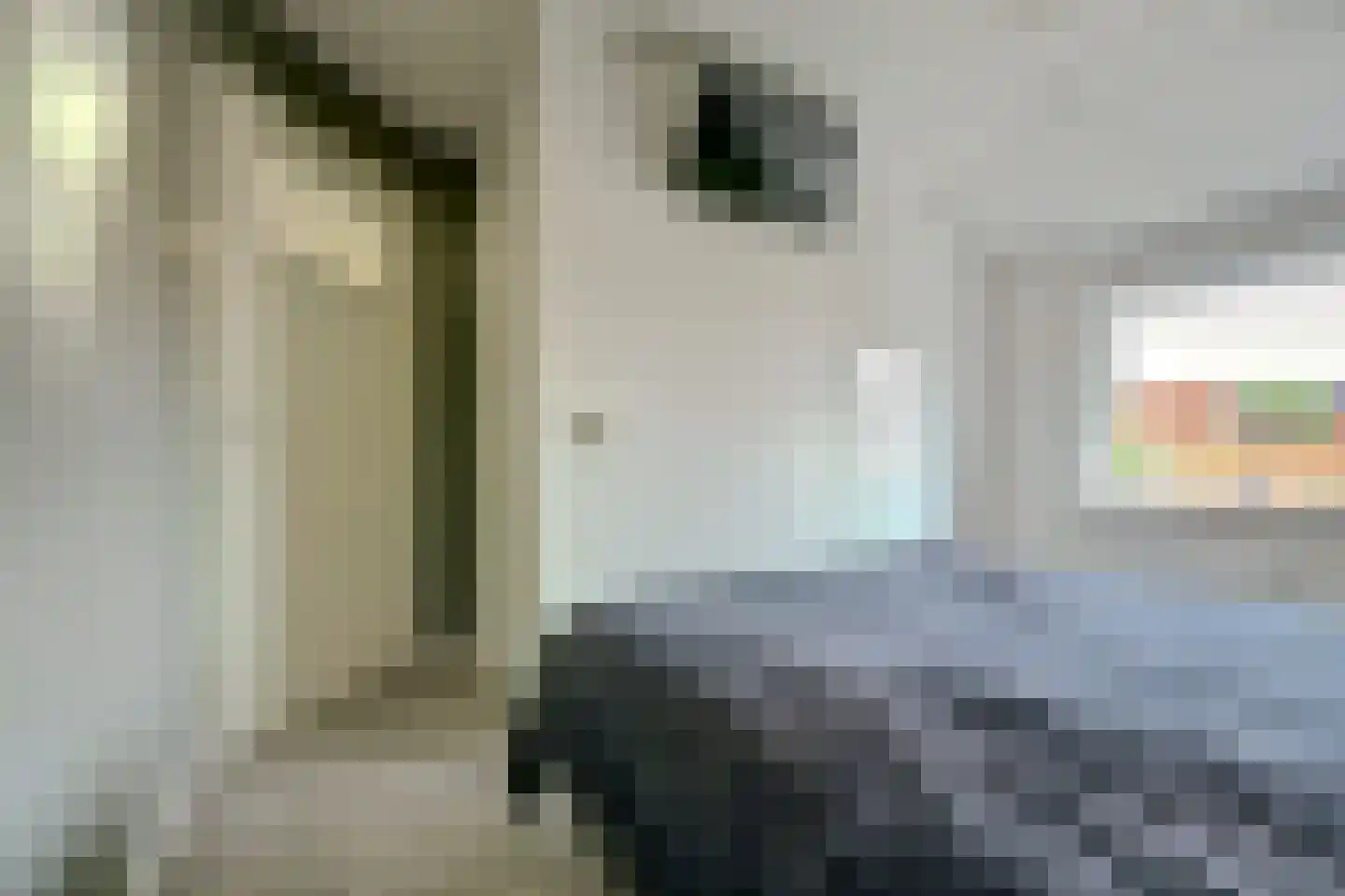 Deltastraat 11 Kattendijke thumbnail 16