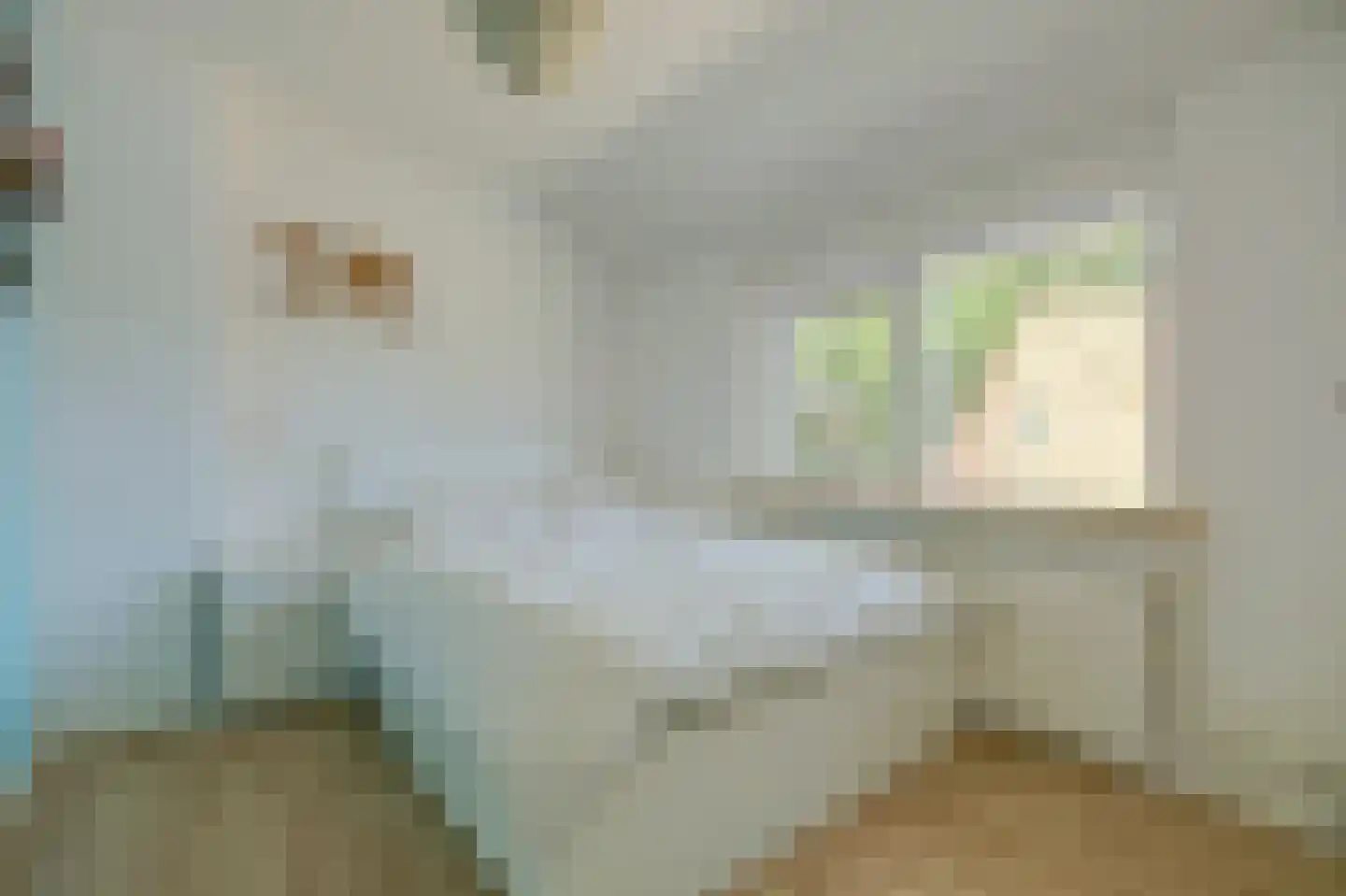 Deltastraat 11 Kattendijke thumbnail 20