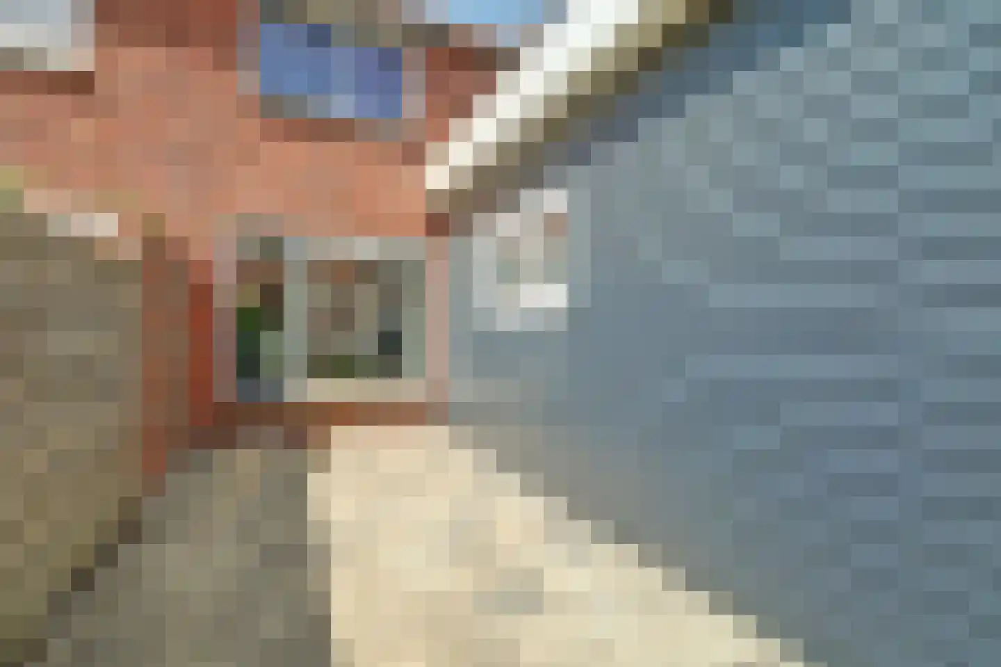 Deltastraat 11 Kattendijke thumbnail 26
