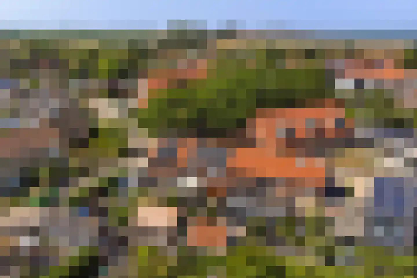 Deltastraat 11 Kattendijke thumbnail 30