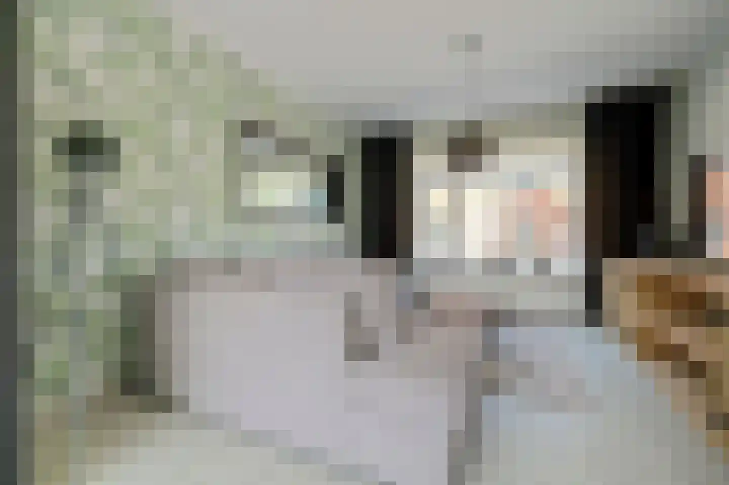 Deltastraat 11 Kattendijke thumbnail 4