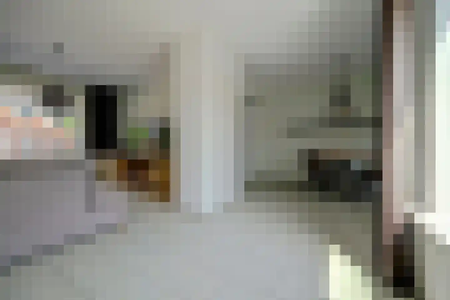 Deltastraat 11 Kattendijke thumbnail 6