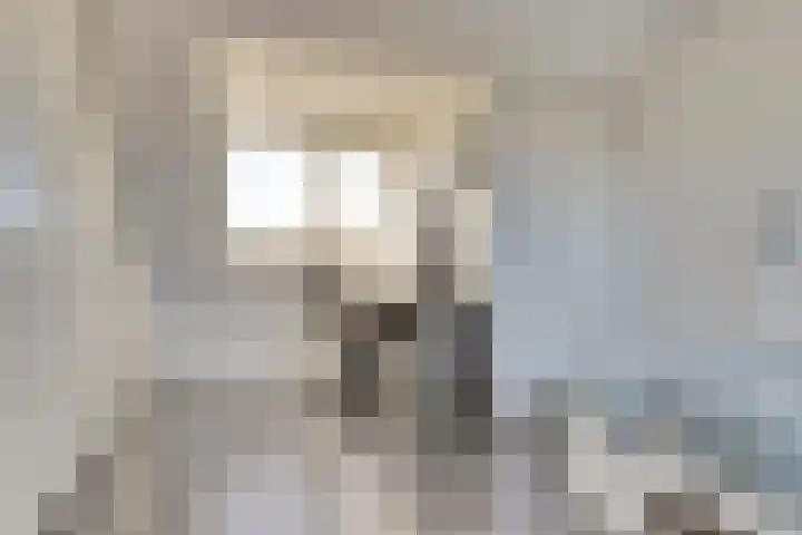 Deltastraat 11 Wemeldinge thumbnail 20