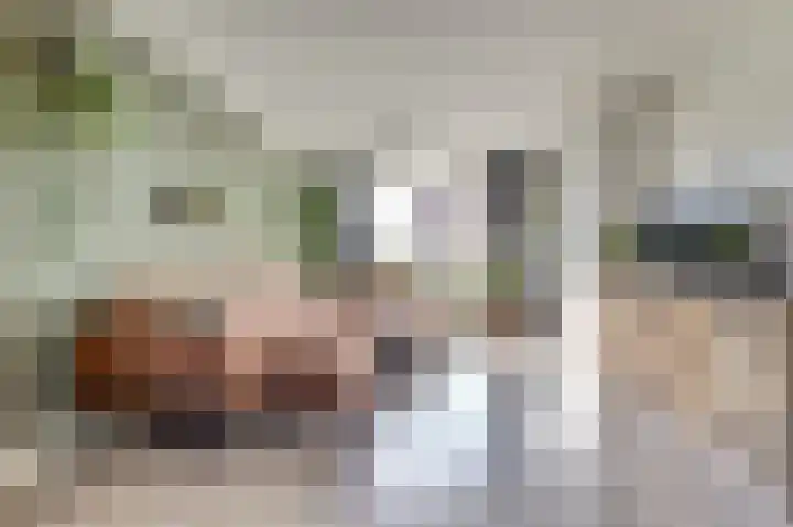 Deltastraat 11 Wemeldinge thumbnail 4