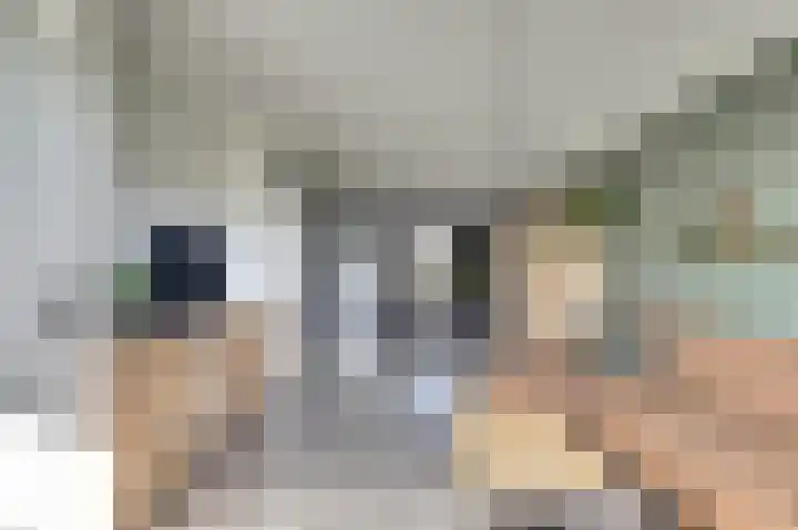 Deltastraat 11 Wemeldinge thumbnail 5