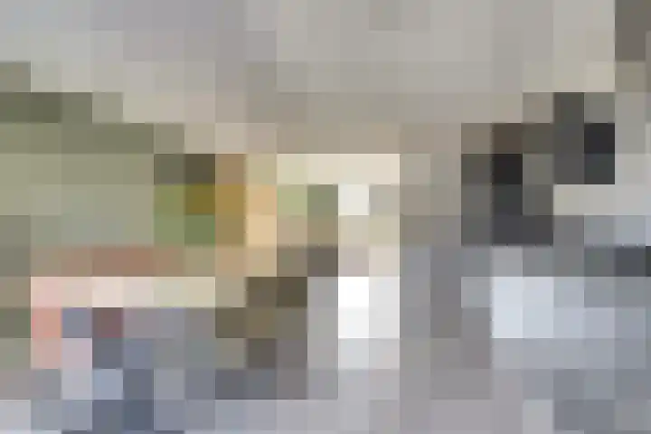 Deltastraat 11 Wemeldinge thumbnail 8