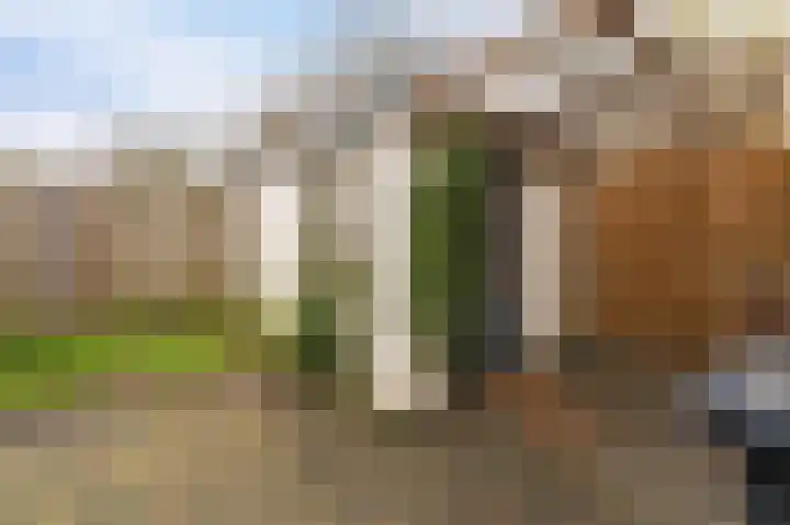 Deltastraat 112 Emmeloord thumbnail 21