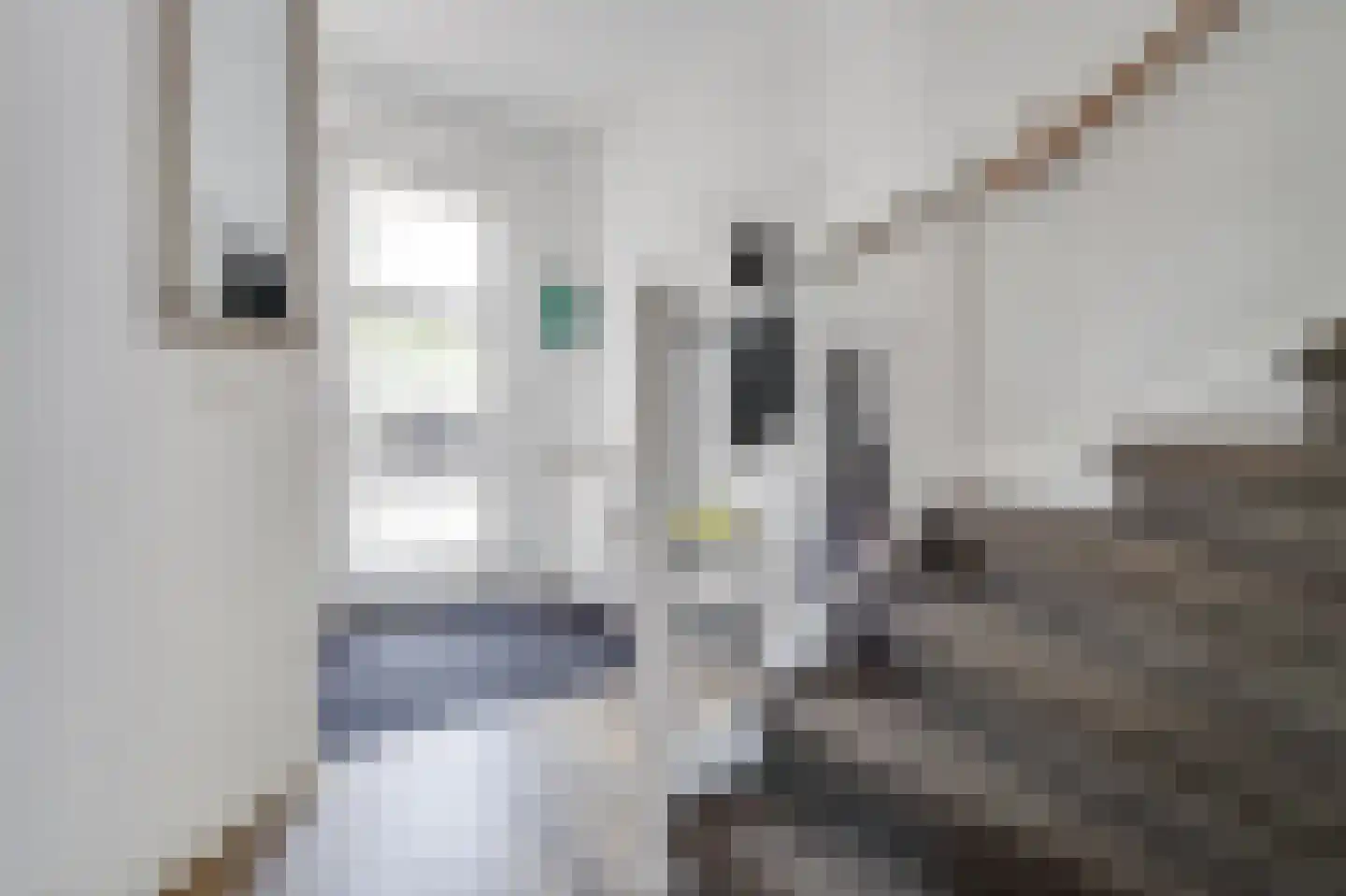 Deltastraat 17 Alkmaar thumbnail 10